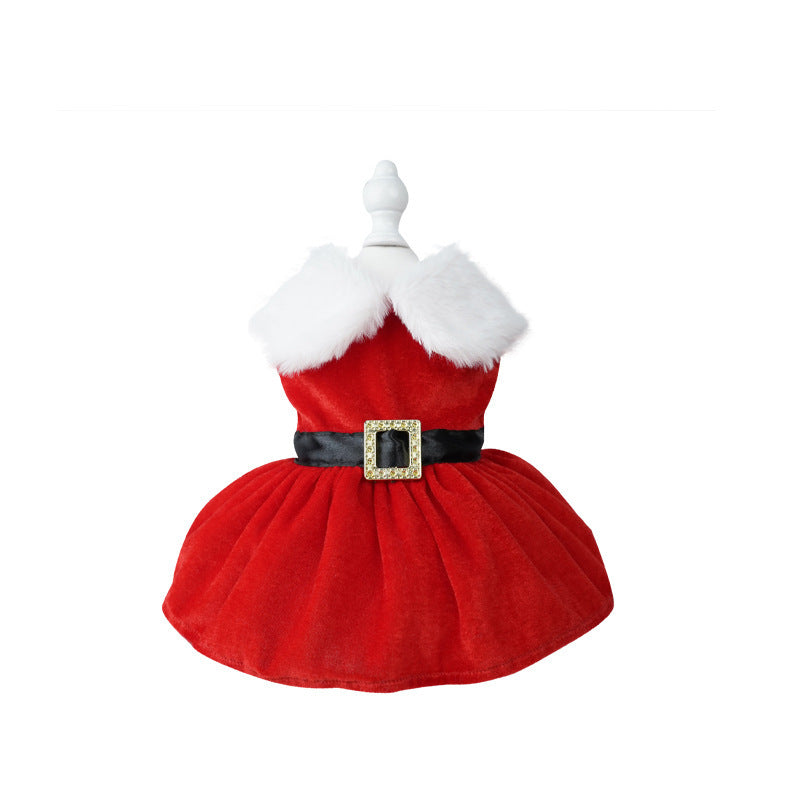 Christmas Pet Dress Up Gold Velvet Fabric