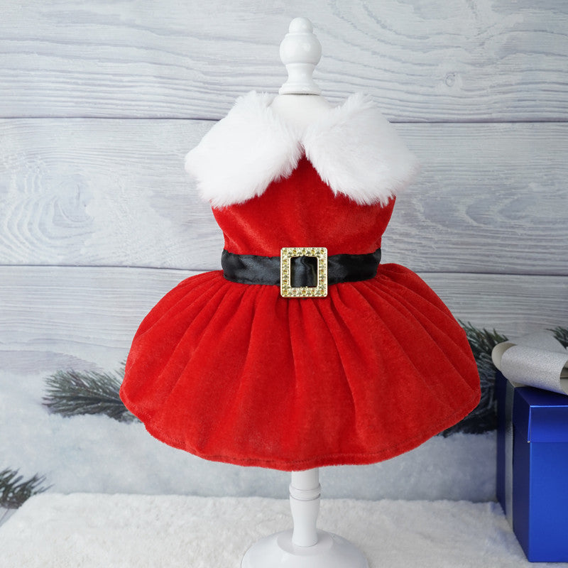 Christmas Pet Dress Up Gold Velvet Fabric